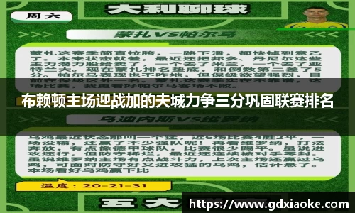 布赖顿主场迎战加的夫城力争三分巩固联赛排名