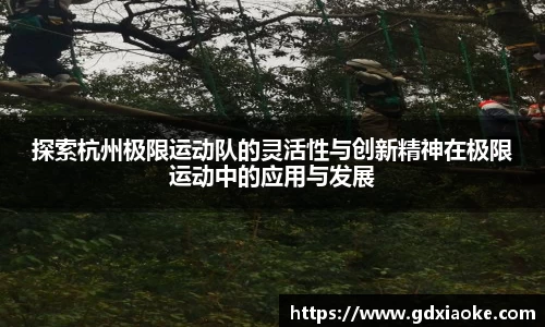 探索杭州极限运动队的灵活性与创新精神在极限运动中的应用与发展